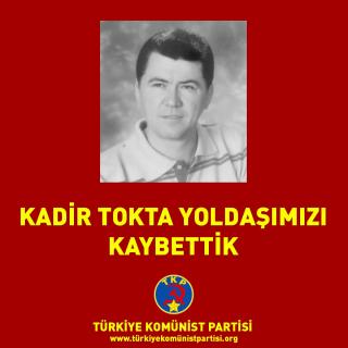 Kadir Tokta